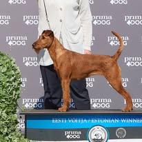 dolores estonian winner 1.jpg