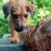 Mastering the First Impression: Your intriguing post title goes here Kutsikaga 1